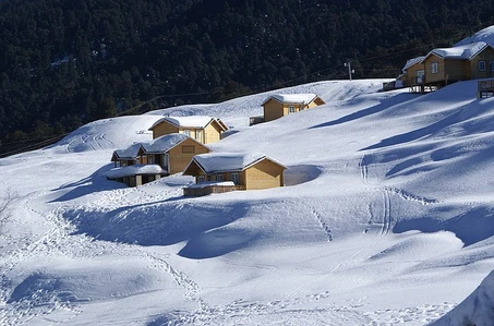 auli