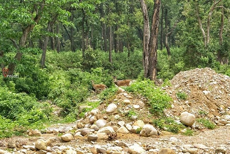 places to visit in uttarakhand- jim corbett park