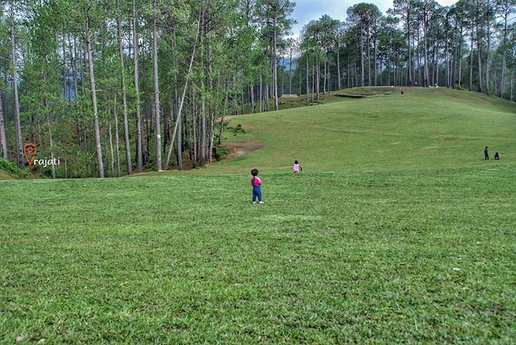 places to visit in uttarakhand- ranikhet
