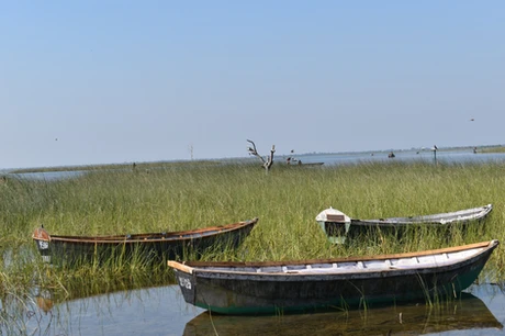 Boat ride at Nalsarovar Bird Sanctuary with birds and nature.