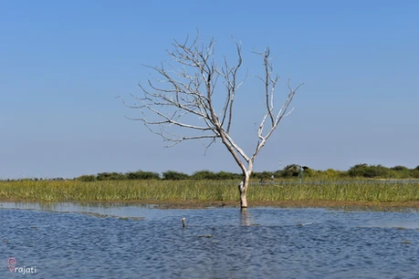 nalsarovar bird sanctuary