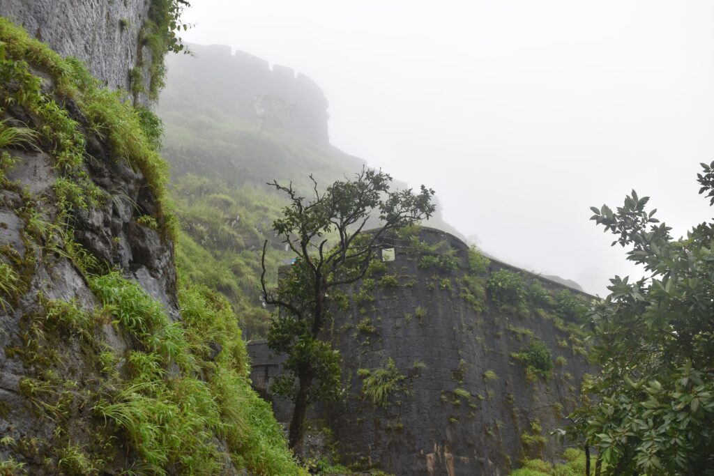 lohagad fort in rain