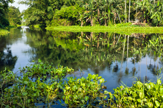 Majuli - 10 hidden villages of India