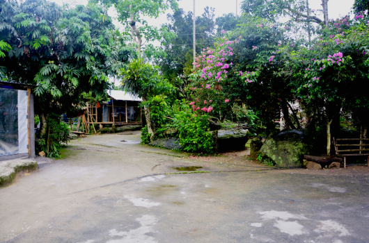 ziro - 10 hidden villages of India